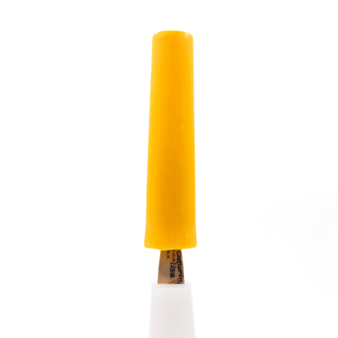 Molde Ataforma Catarina Lisa 80 ml 14 cavidades 2,7 oz