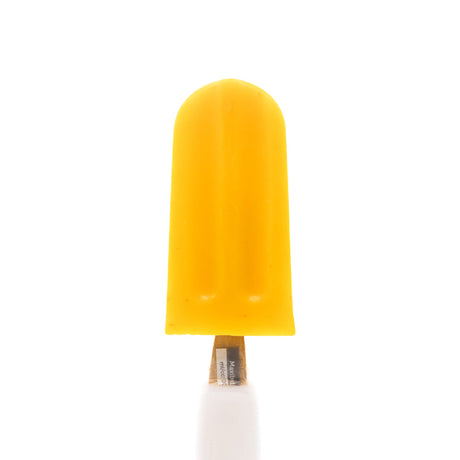 Ataforma Mold Maxibrida 100ml 26 cavities 3.4 oz