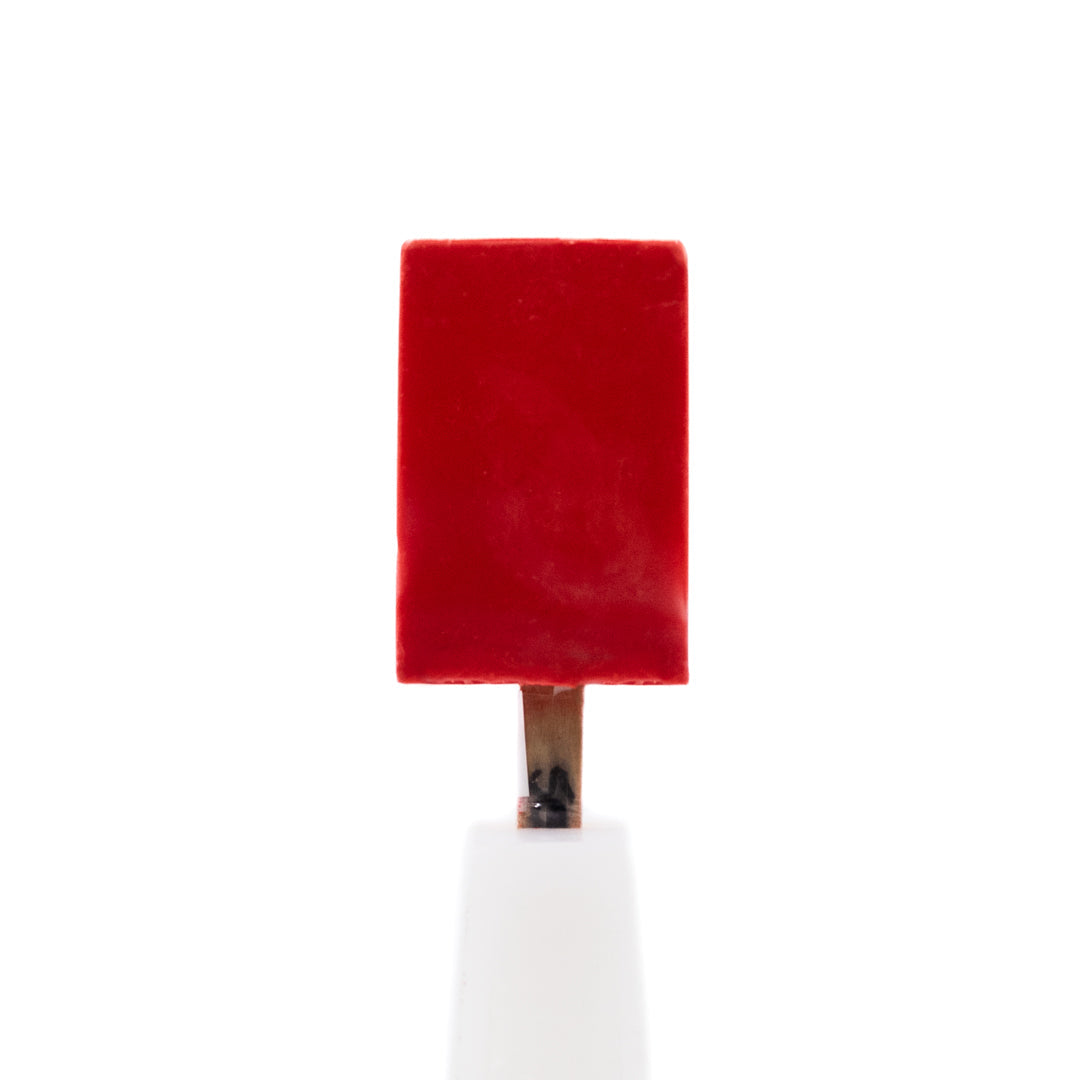 Ataforma Mold Skiminho 50ml 22 cavities 1.7 oz