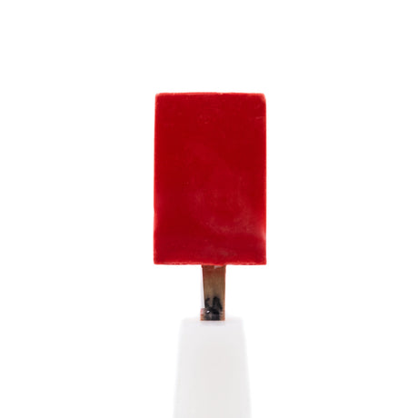 Ataforma Mold Skiminho 50ml 22 cavities 1.7 oz