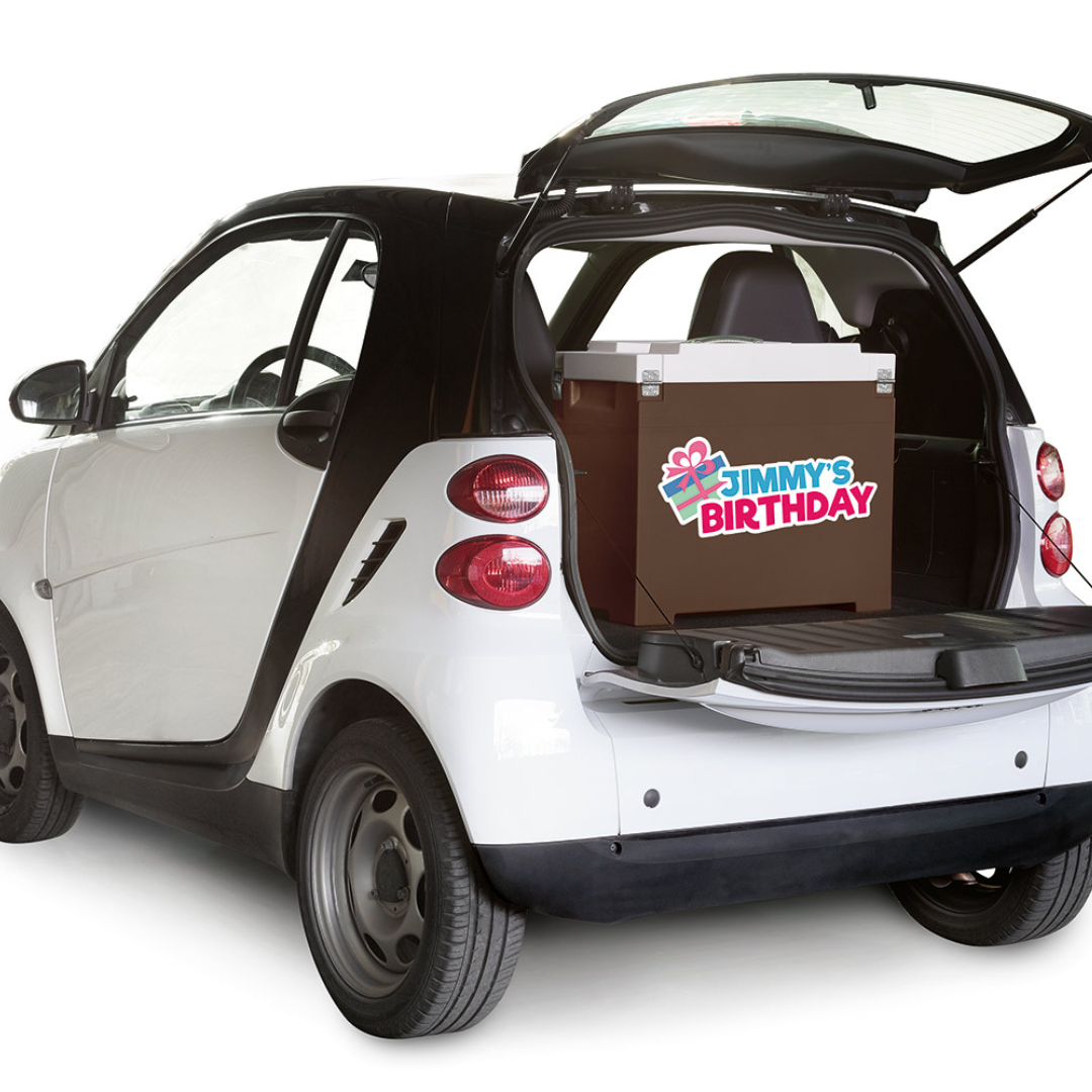 Nevera y carrito para helados IFI Cart