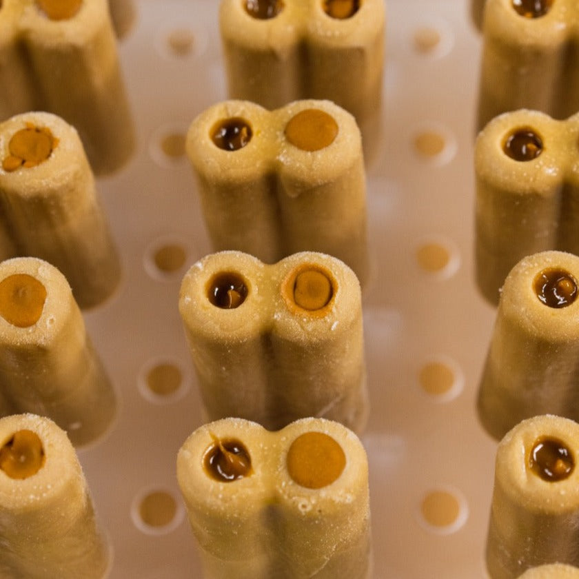 Alineador Ataforma Picochurro 44 cavidades