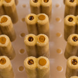 Alineador Ataforma Picochurro 44 cavidades